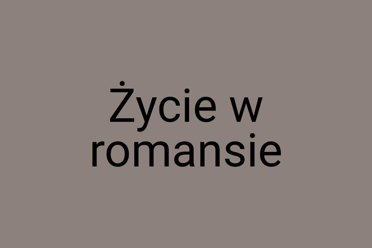 Życie w romansie