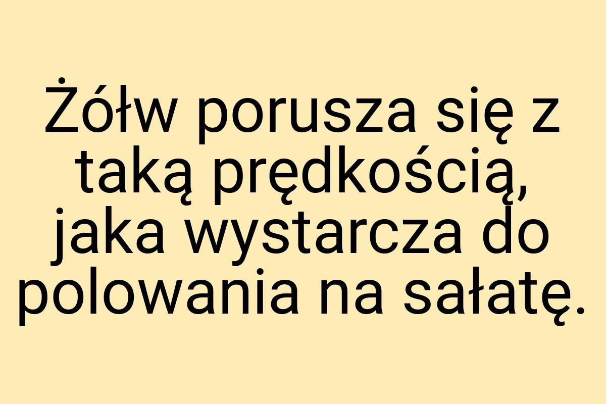 Żółw porusza się z taką prędkością, jaka wystarcza do