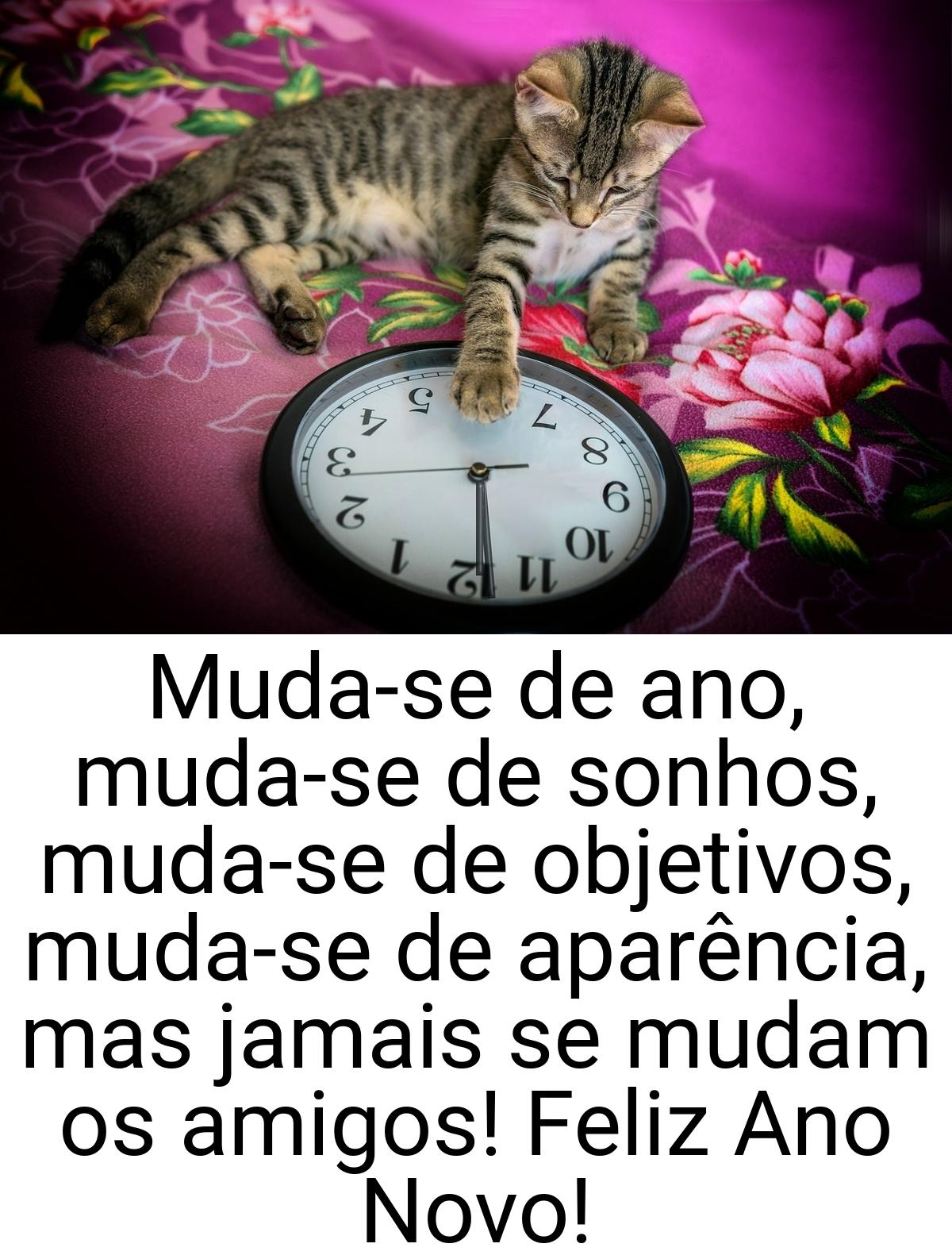 Muda-se de ano, muda-se de sonhos, muda-se de objetivos