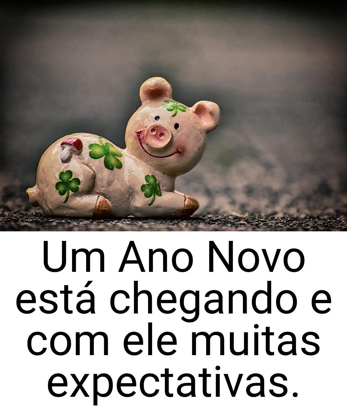 Um Ano Novo está chegando e com ele muitas expectativas