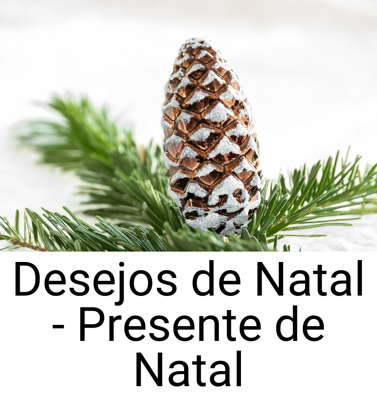 Desejos de Natal - Presente de Natal