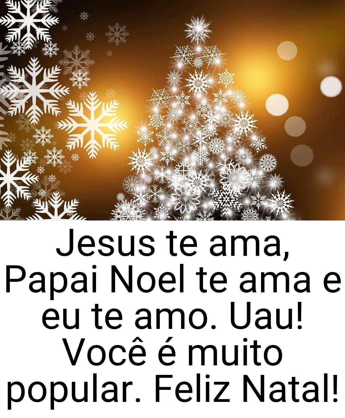 Jesus te ama, Papai Noel te ama e eu te amo. Uau! Você é