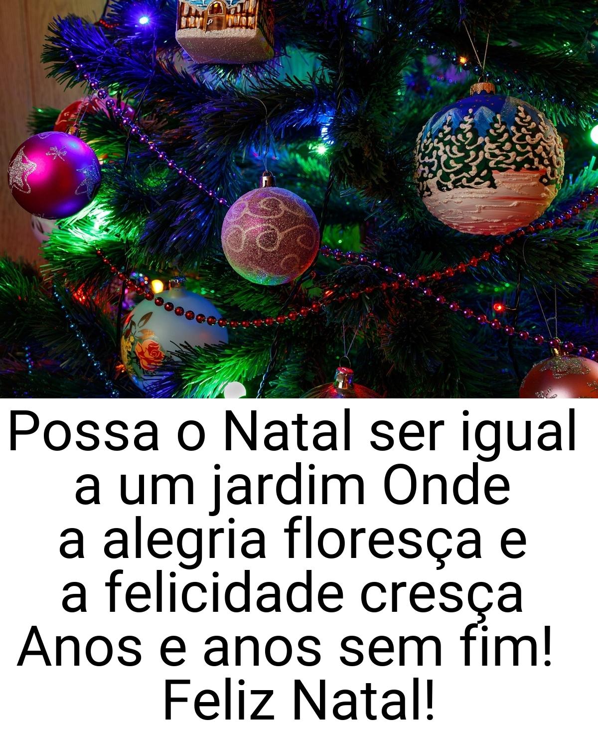 Possa o Natal ser igual a um jardim Onde a alegria floresça