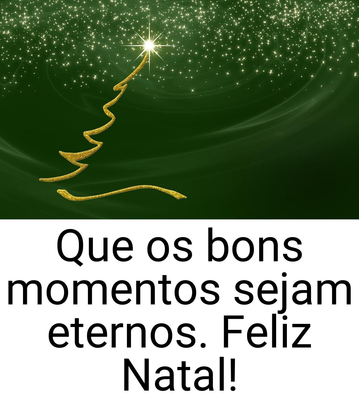 Que os bons momentos sejam eternos. Feliz Natal