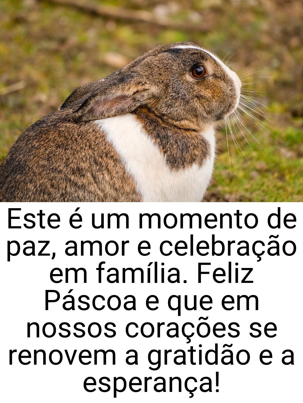 Este é um momento de paz, amor e celebração em família