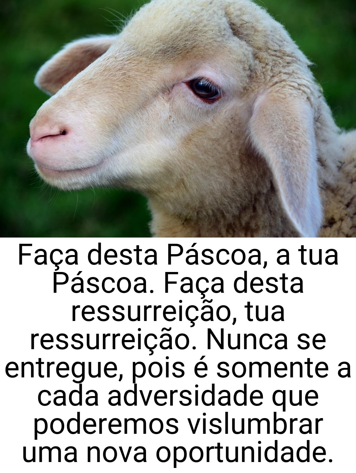 Faça desta Páscoa, a tua Páscoa. Faça desta ressurreição