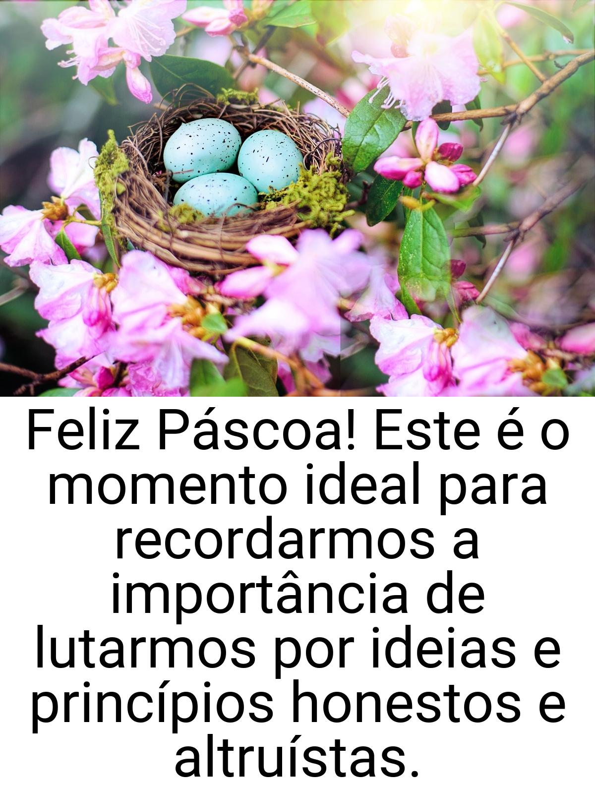 Feliz Páscoa! Este é o momento ideal para recordarmos a