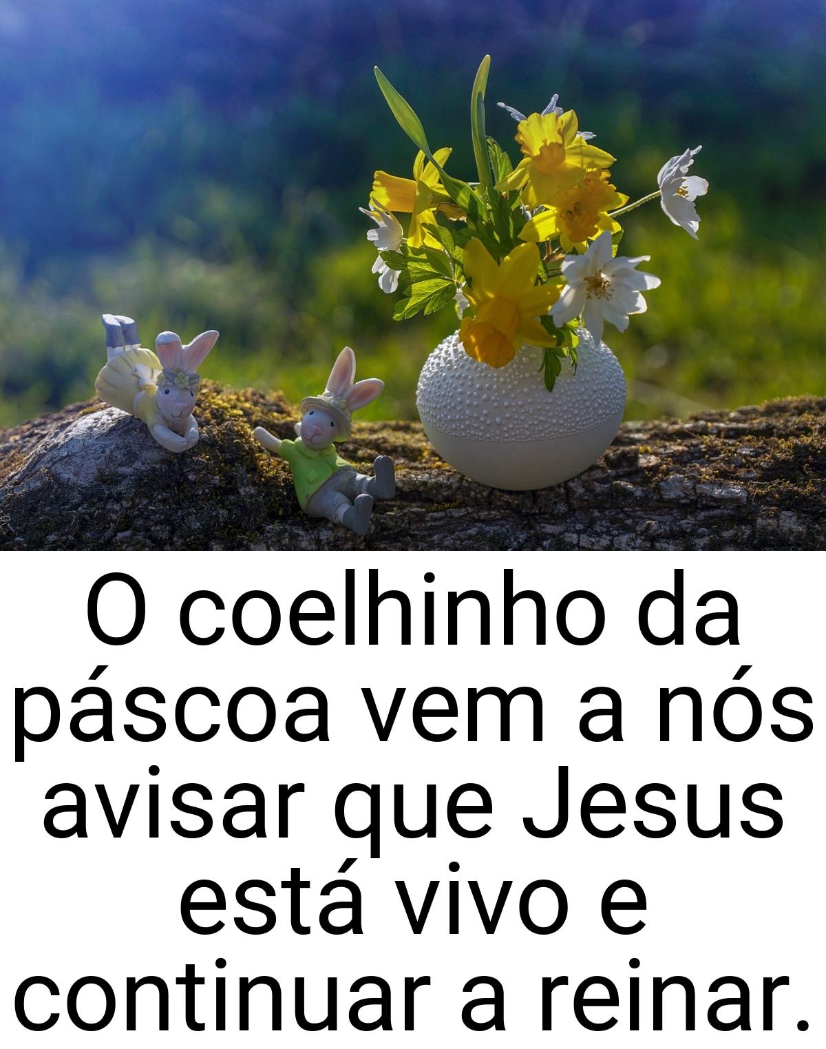 O coelhinho da páscoa vem a nós avisar que Jesus está vivo