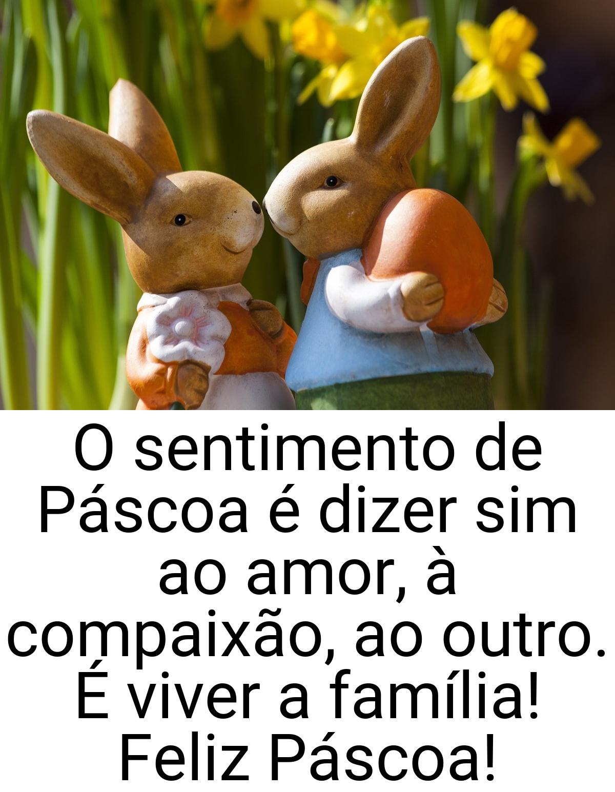 O sentimento de Páscoa é dizer sim ao amor, à compaixão, ao