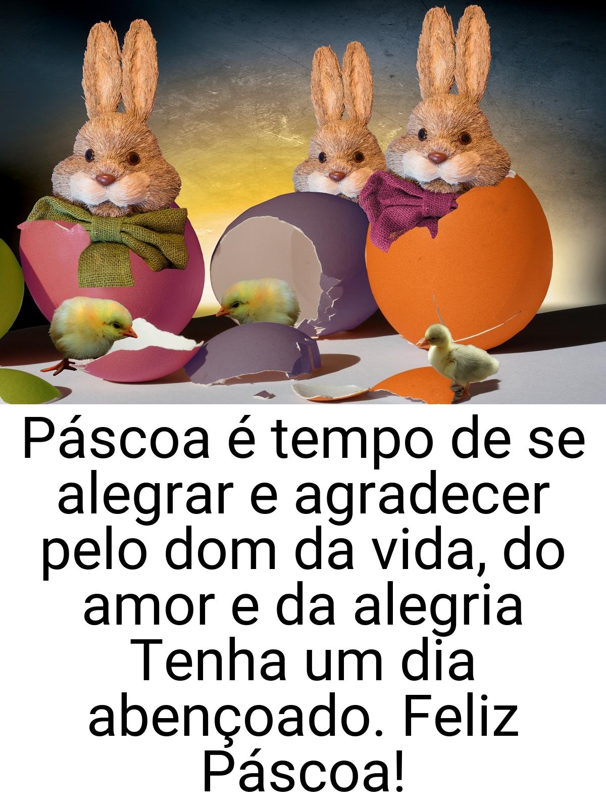 Páscoa é tempo de se alegrar e agradecer pelo dom da vida