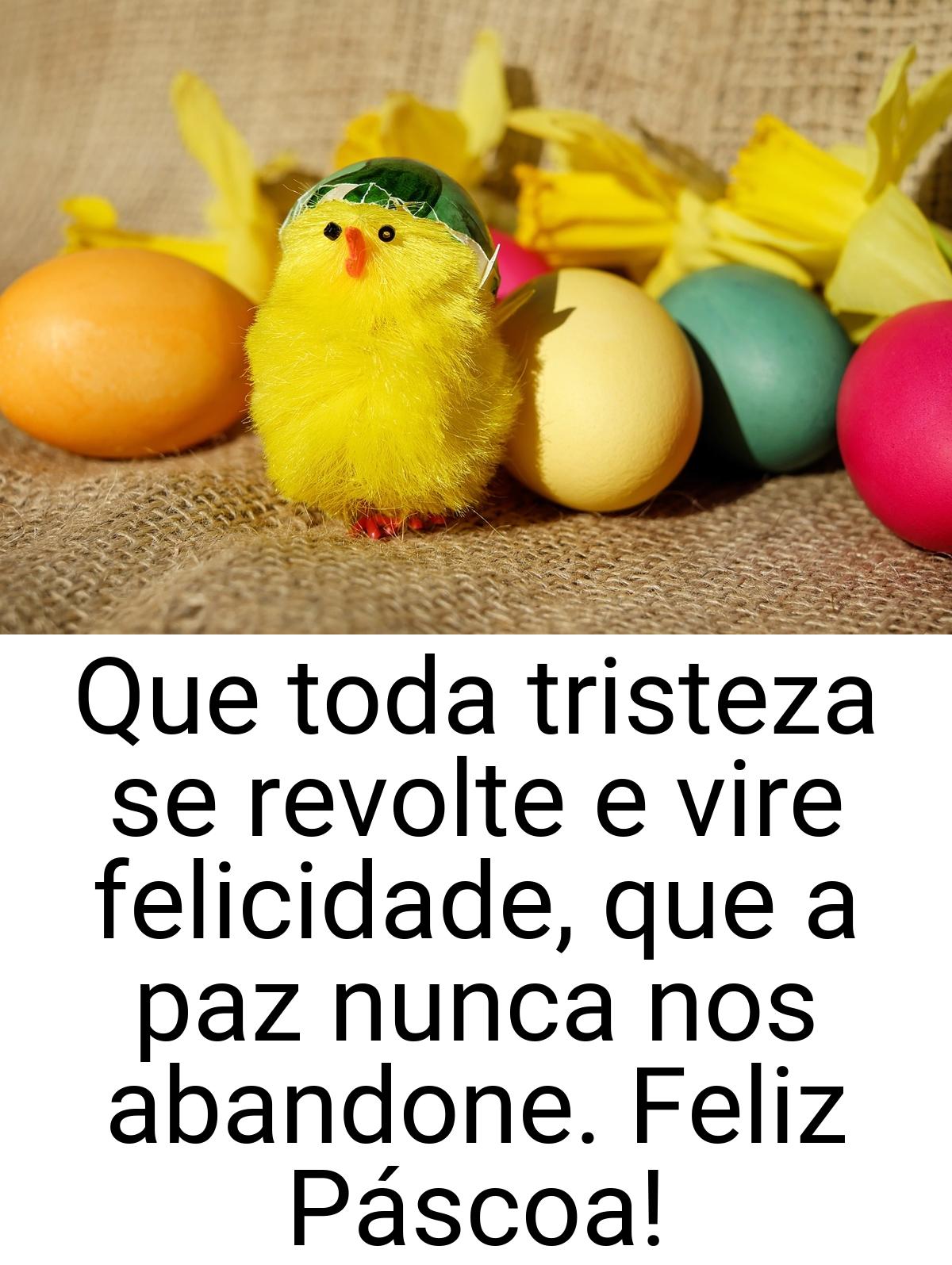 Que toda tristeza se revolte e vire felicidade, que a paz