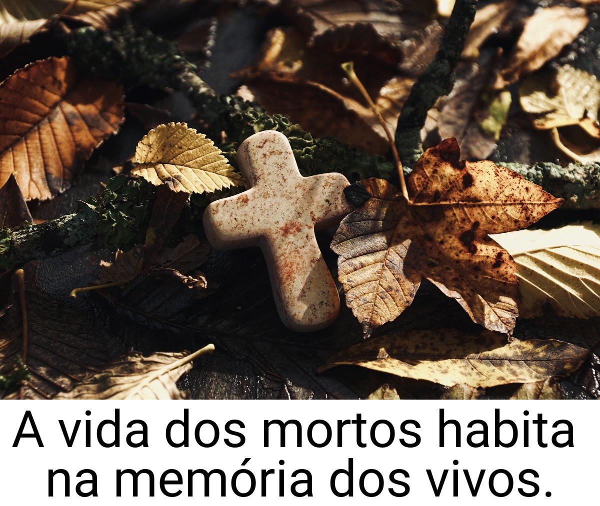 A vida dos mortos habita na memória dos vivos