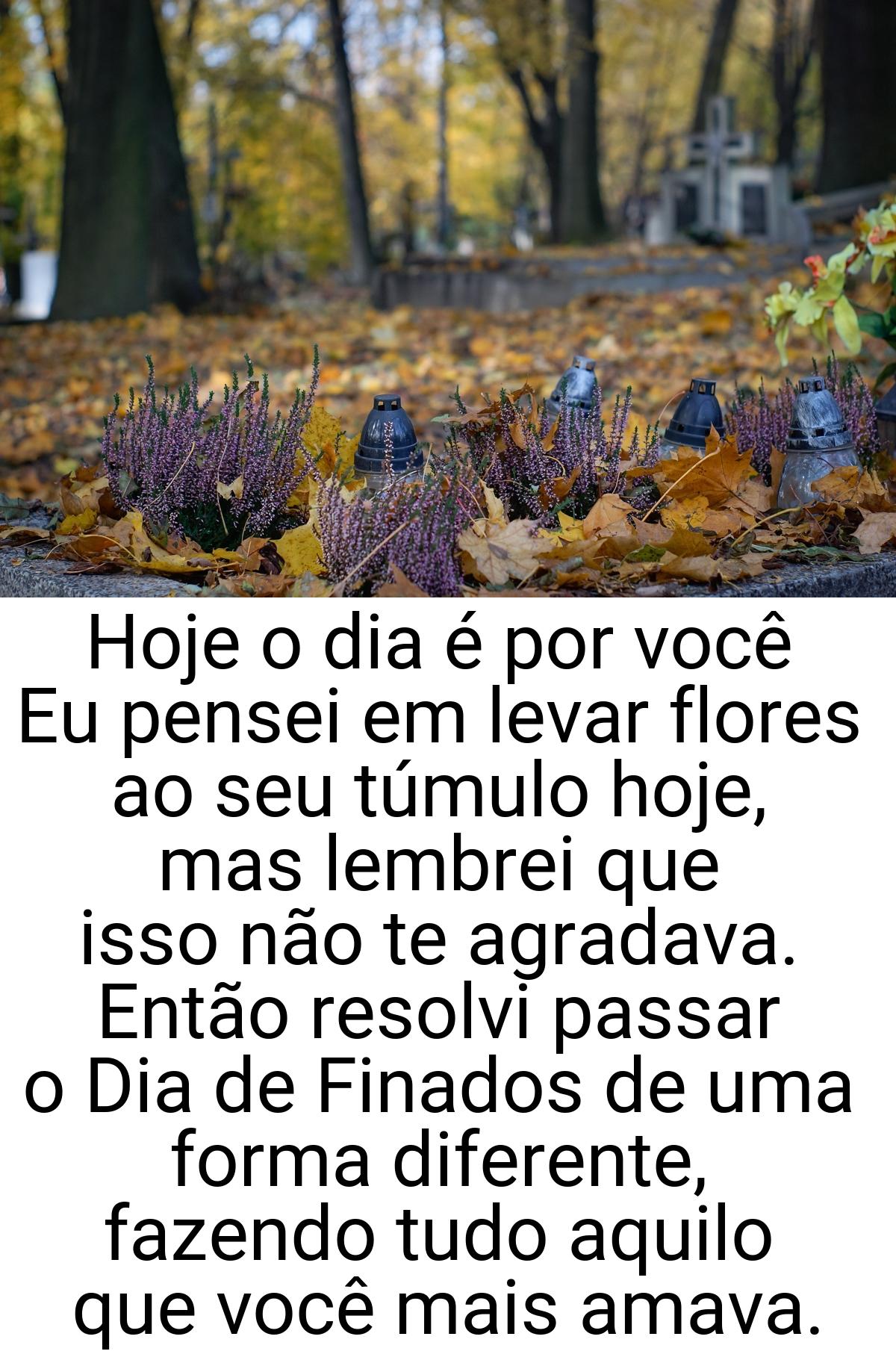 Hoje o dia é por você Eu pensei em levar flores ao seu