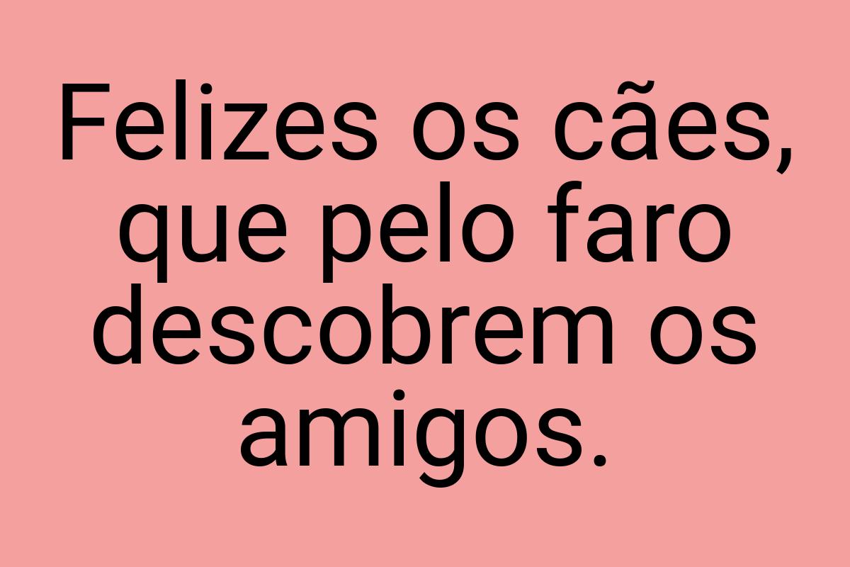 Felizes os cães, que pelo faro descobrem os amigos