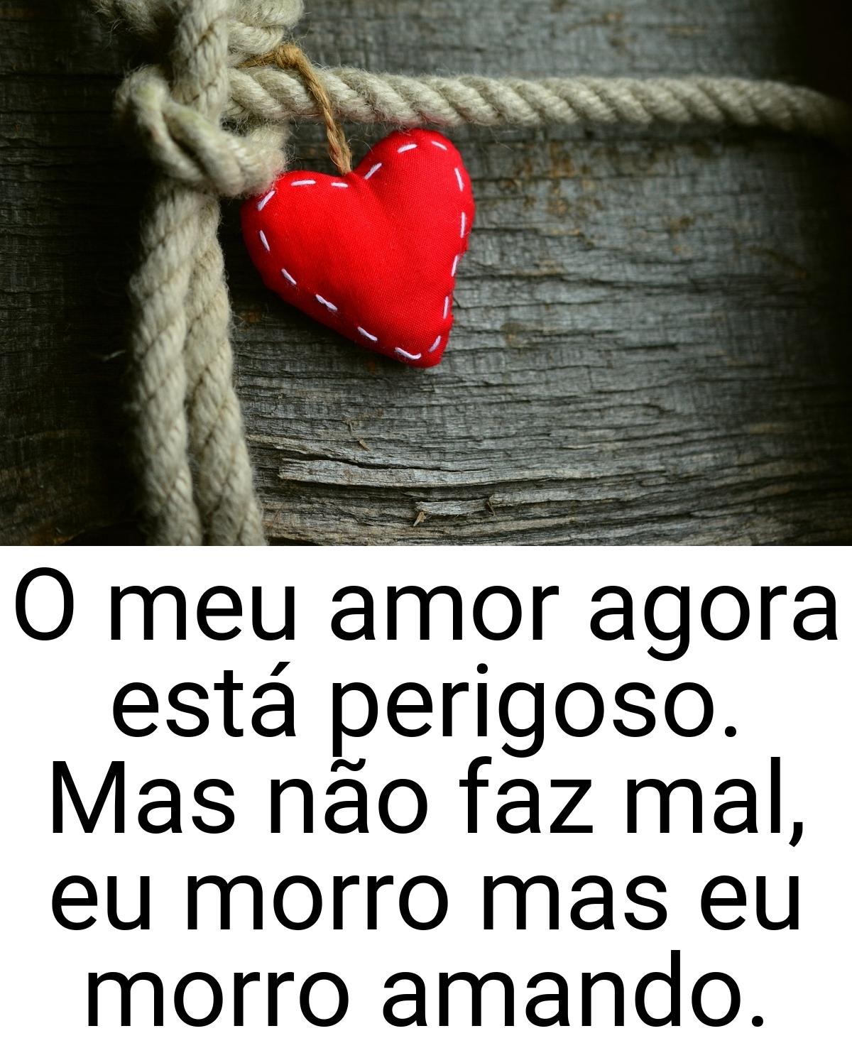 O meu amor agora está perigoso. Mas não faz mal, eu morro