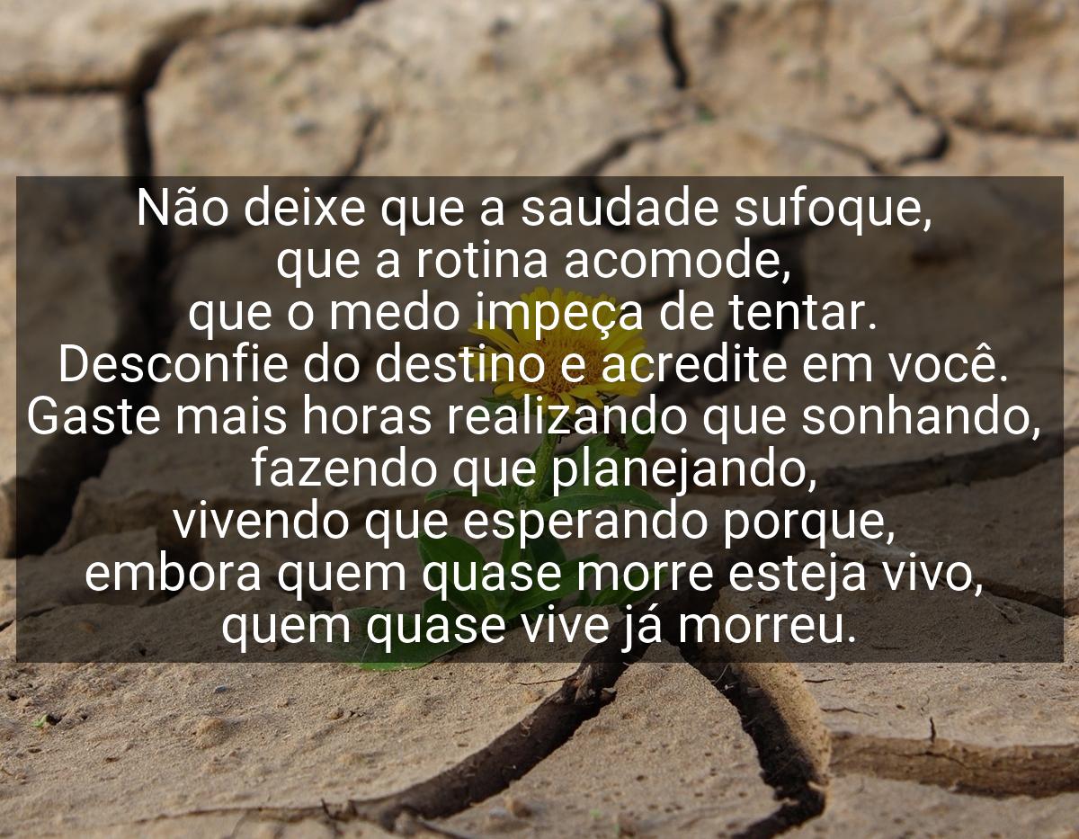 Não deixe que a saudade sufoque, que a rotina acomode, que