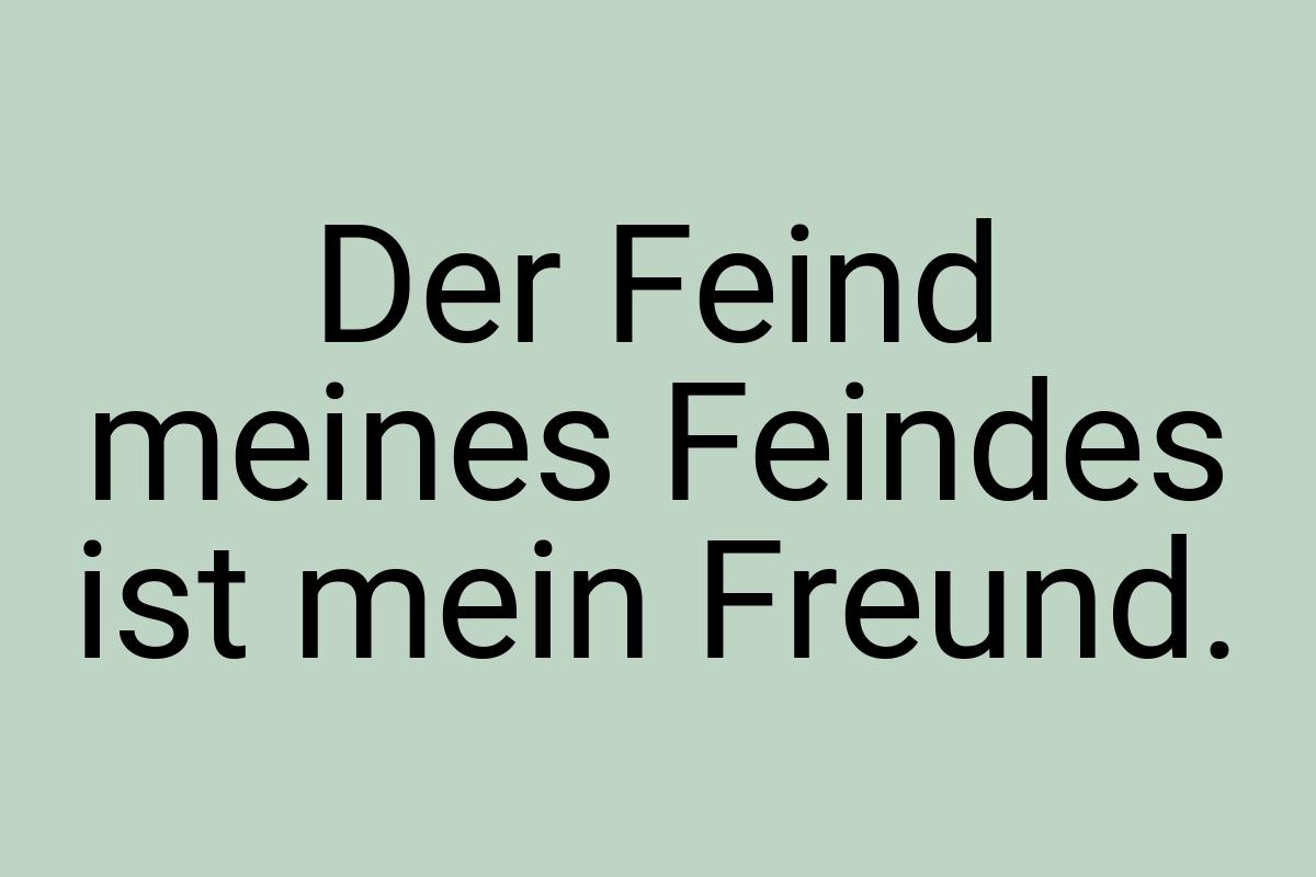 Der Feind meines Feindes ist mein Freund