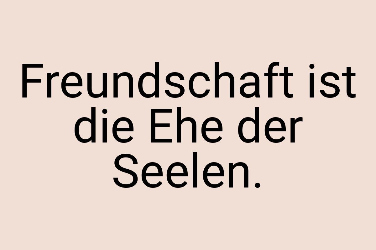 Freundschaft ist die Ehe der Seelen