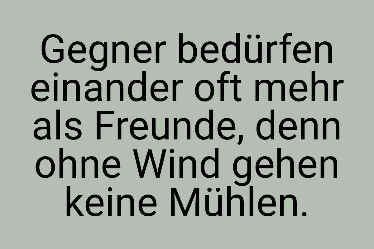 Gegner bedürfen einander oft mehr als Freunde, denn ohne