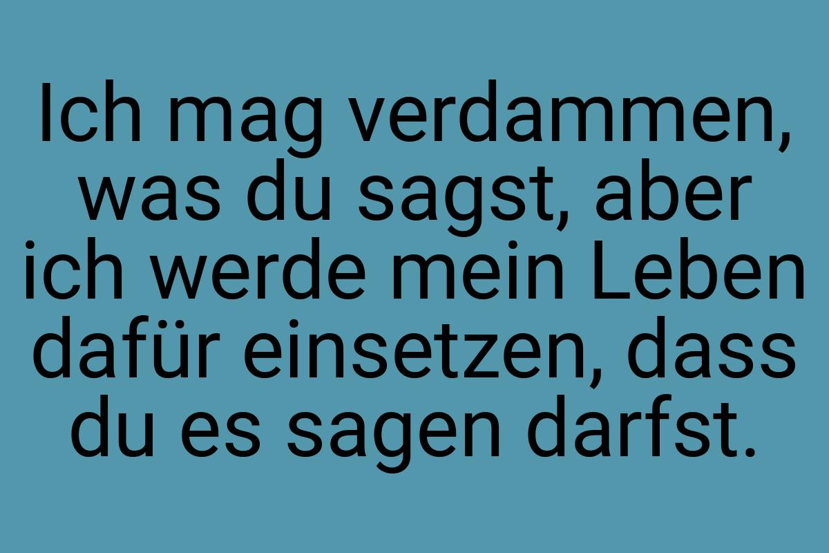 Ich mag verdammen, was du sagst, aber ich werde mein Leben