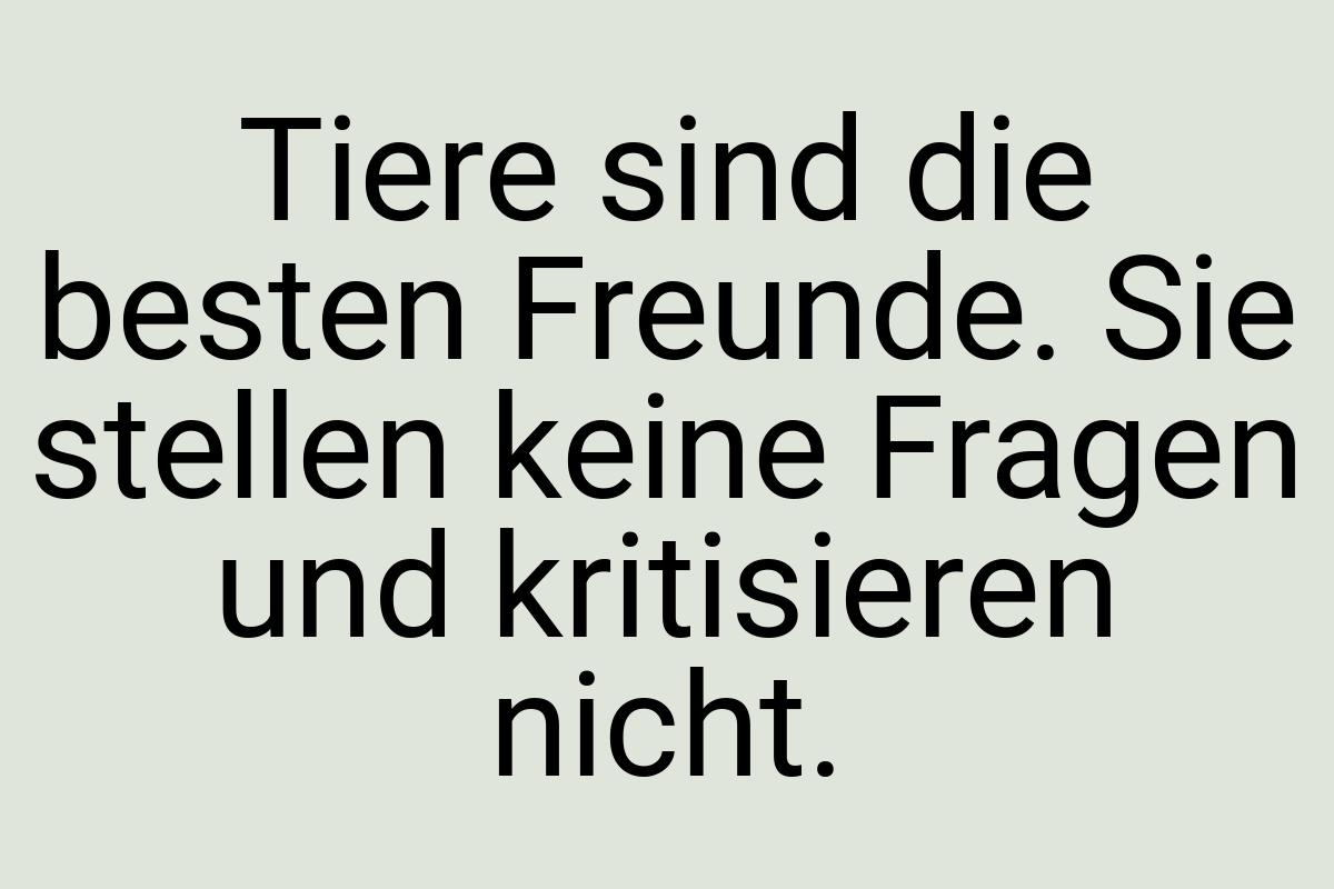 Tiere sind die besten Freunde. Sie stellen keine Fragen und