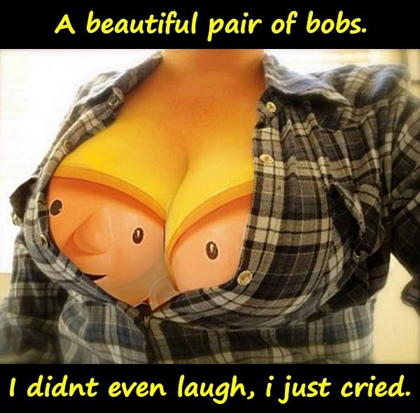 A beautiful pair of bobs. I didnt even laugh, i just cried