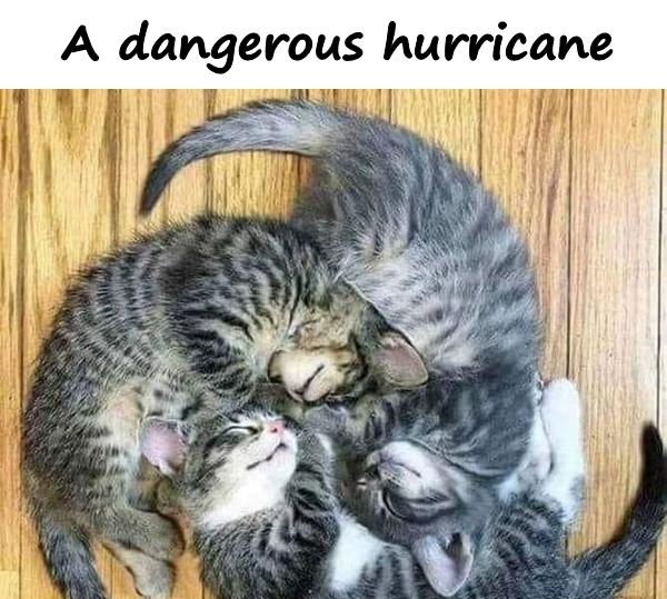 A dangerous hurricane