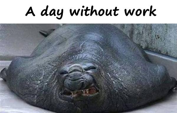 A day without work