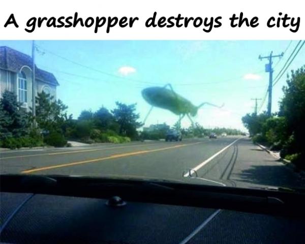 A grasshopper destroys the city