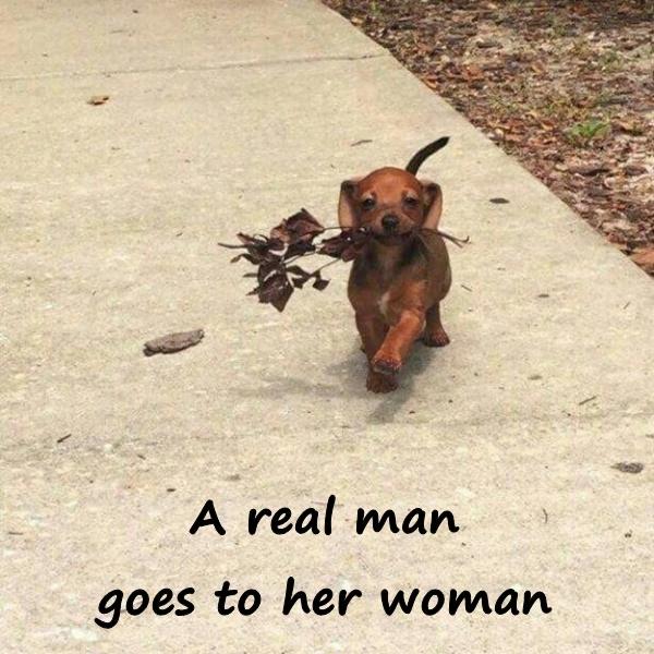 A real man goes to her woman