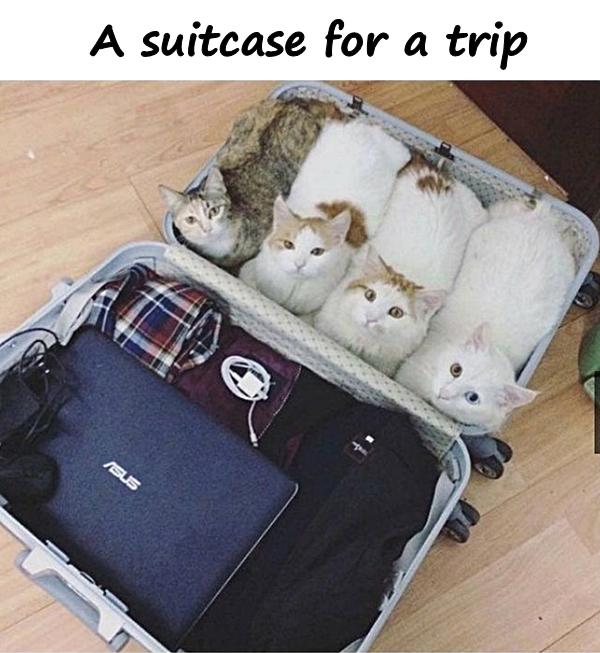 A suitcase for a trip