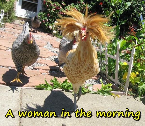 A woman in the morning