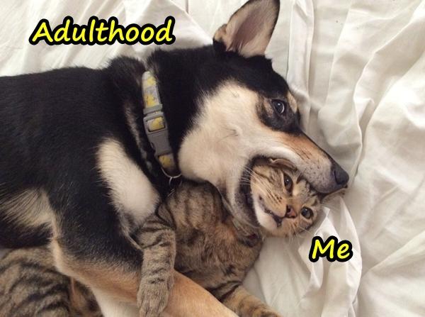 Adulthood