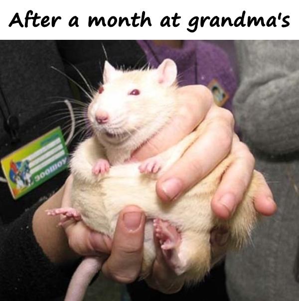 After a month at grandma's