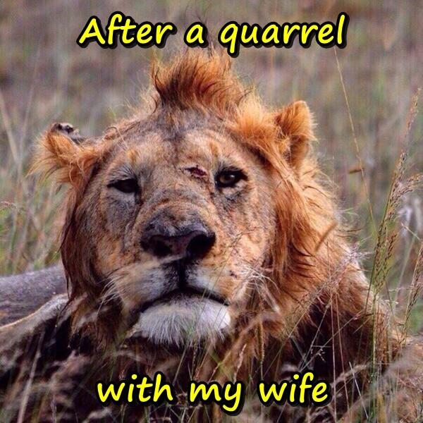 After a quarrel with my wife