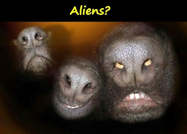 Aliens