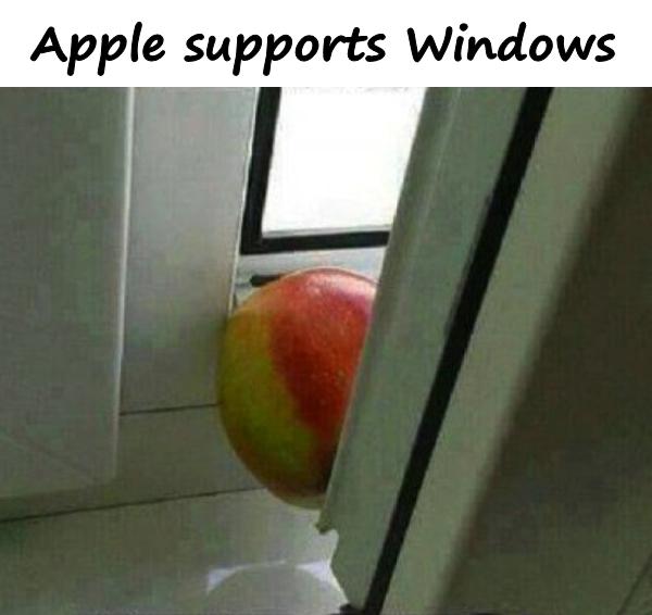 Apple supports Windows