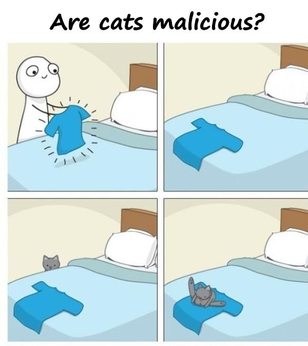 Are cats malicious