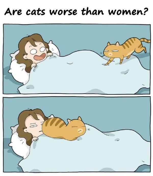 Are cats worse than women