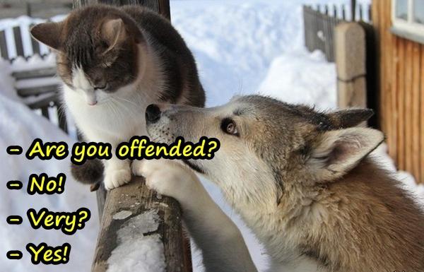 - Are you offended? - No! - Very? - Yes