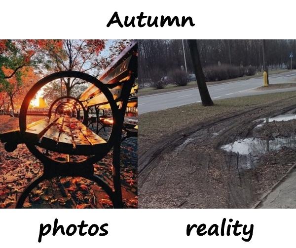 Autumn - photos and reality