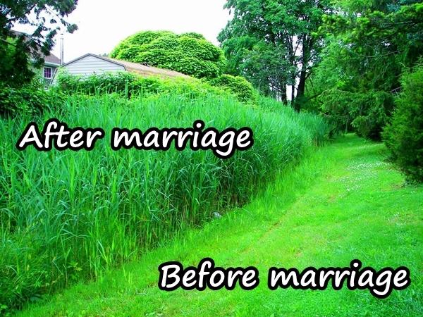 Before marriage and after marriage