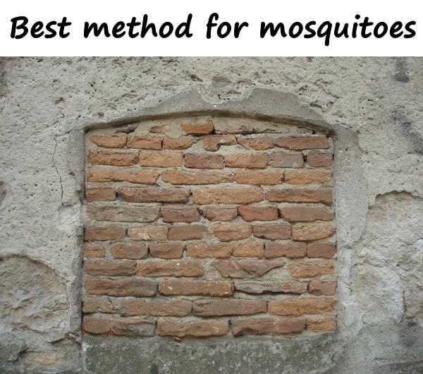 Best method for mosquitoes