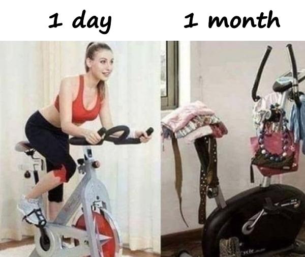 Bike - 1 day vs. 1 month