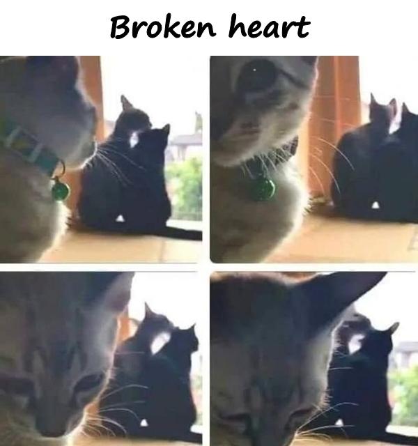 Broken heart