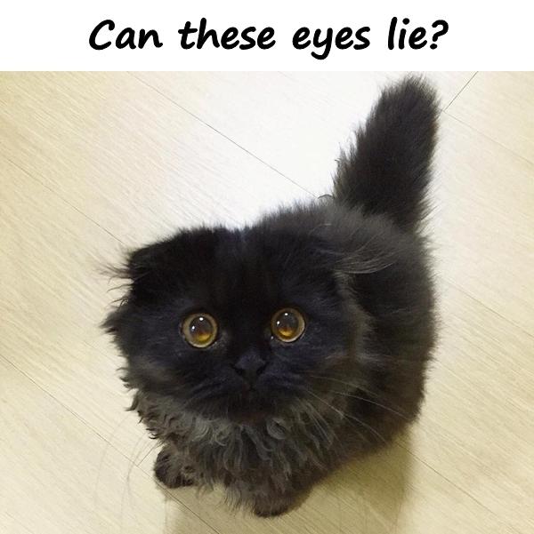 Can these eyes lie