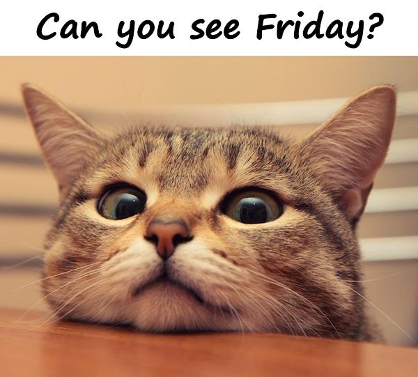 Can you see Friday