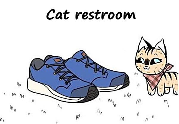 Cat restroom