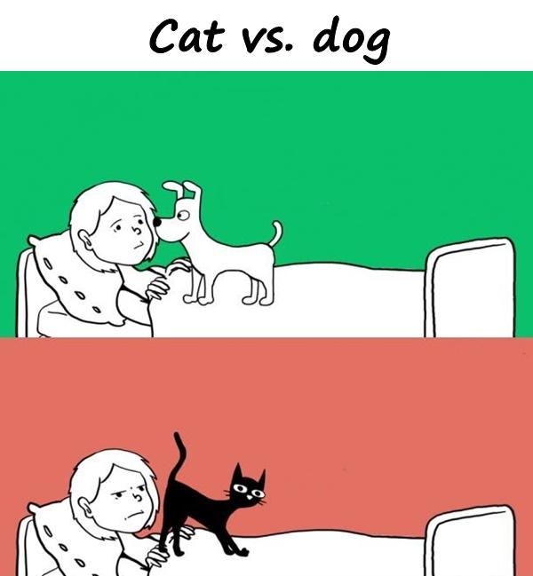 Cat vs. dog