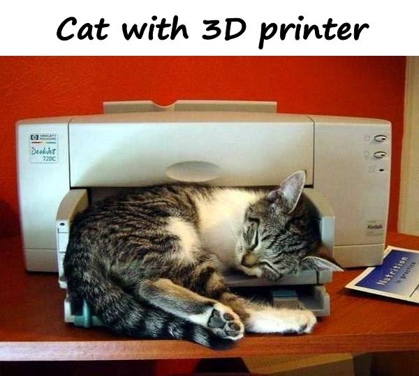 Cat with 3D printer